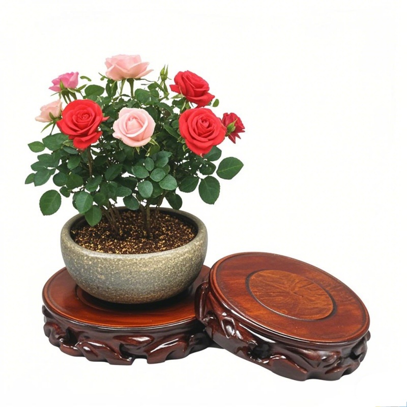 Alas Pot Tanaman & Penyangga P - Coffee Tea For Garden ulasan dan harga